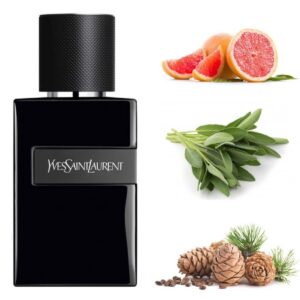 Yves Saint Laurent Y  Le Parfum